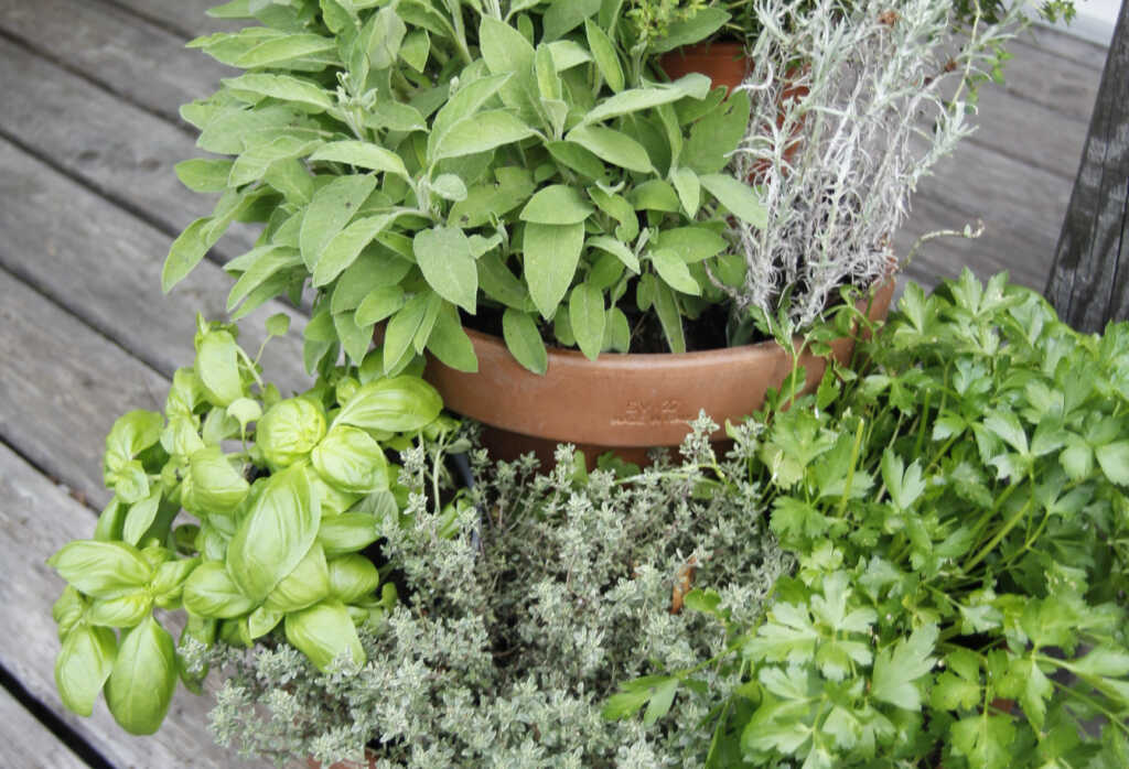 Idee salvaspazio per un giardino di erbe aromatiche in balcone