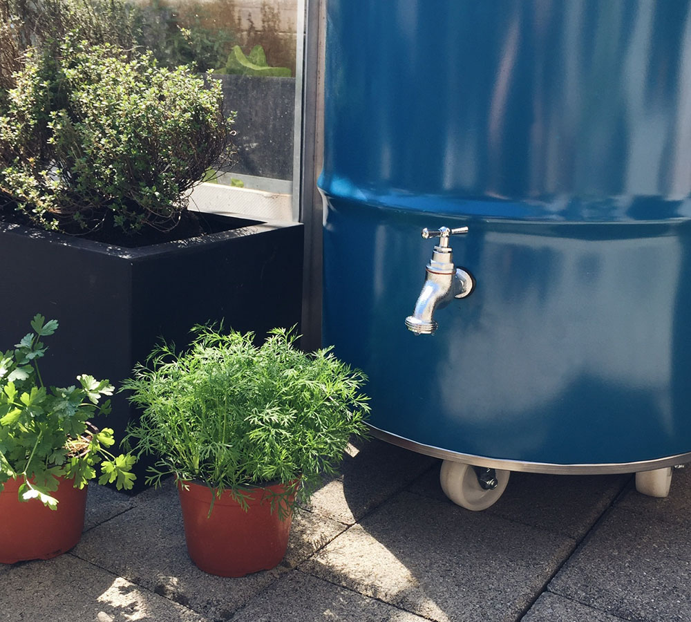 DIY-Regentonne: Nie mehr Wasser schleppen. - Do it + Garden Blog