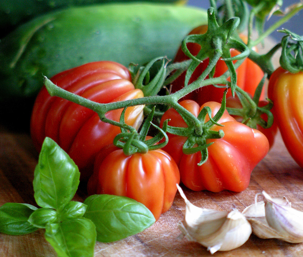 Tomaten Eigenanbau