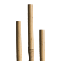 Miogarden-Bambusstäbe 