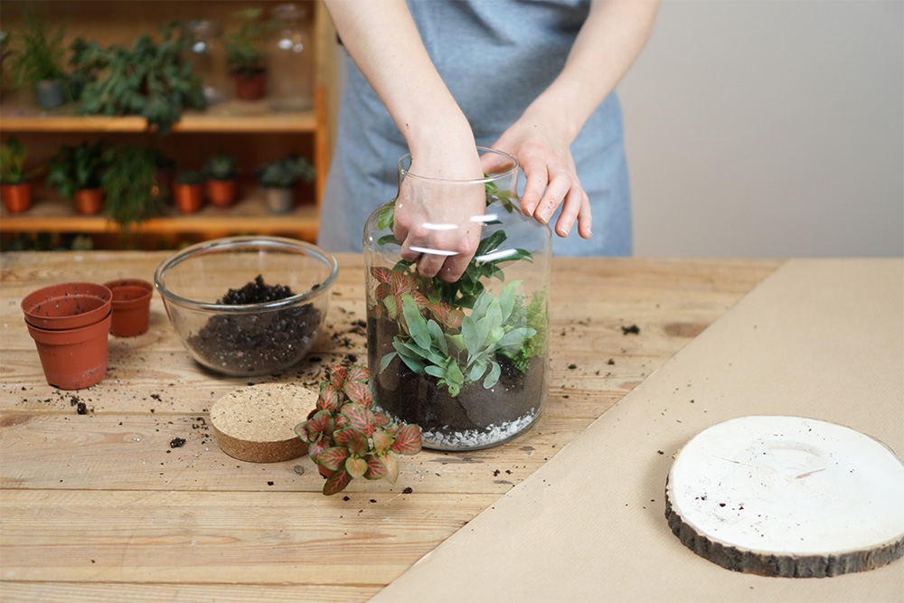 Come realizzare un vaso per piante grasse homemade