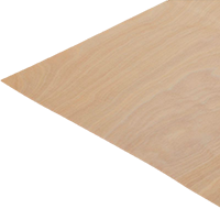 compensato-modello-betulla-legno-tagliato-su-misura