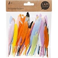 plumes-indiennes-12-15-cm-melange-pastel